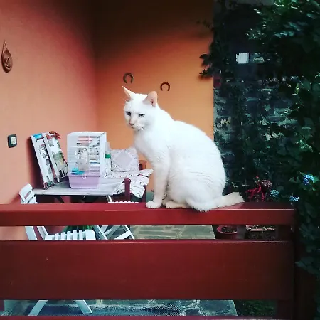 بيت ضيافة La Tavernetta Del Riccio